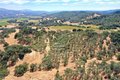 Additional image 25 of 25845 Dutcher Creek Rd, Cloverdale, CA, 95425