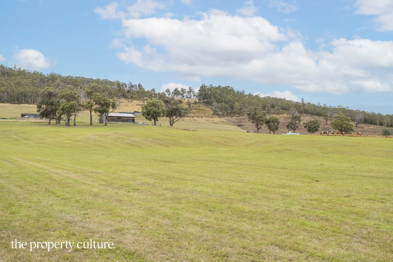 Additional image 8 of 989 Woodbridge Hill Road, Gardners Bay TAS 7112