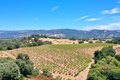 Additional image 9 of 25845 Dutcher Creek Rd, Cloverdale, CA, 95425