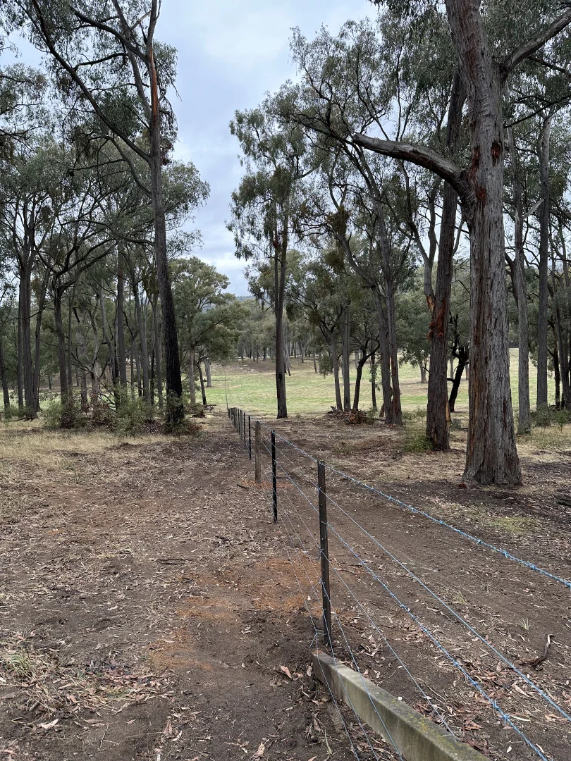 Additional image 24 of 880 Lima East Road, Lima East VIC 3673