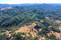Additional image 20 of 25845 Dutcher Creek Rd, Cloverdale, CA, 95425