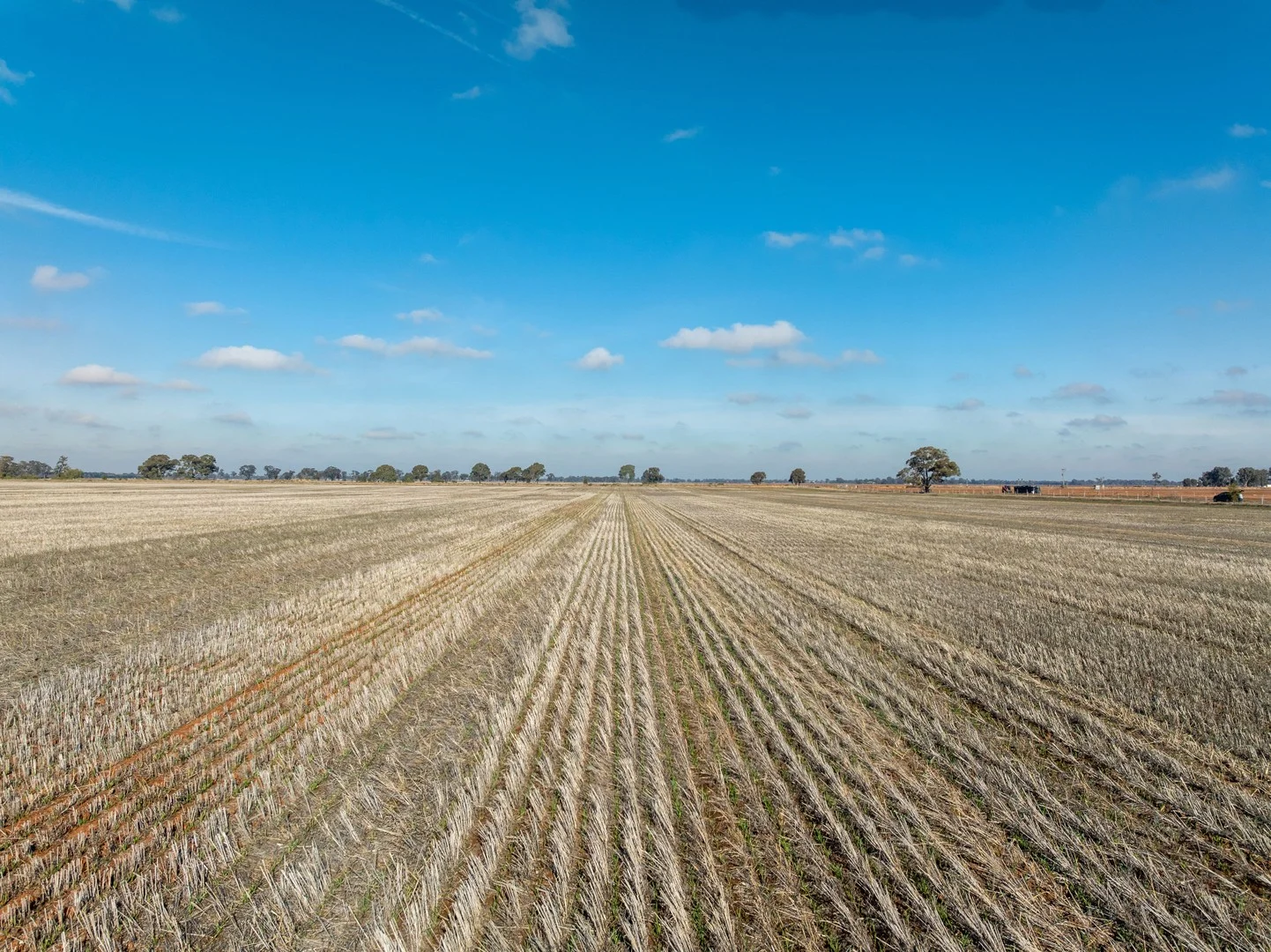 Christies Road, Katunga VIC 3640