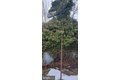 Additional image 72 of 3202 Presbury St, Baltimore, MD, 21216