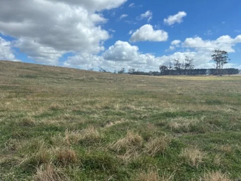 PID 6250932 Montagu Road, Scopus TAS 7330