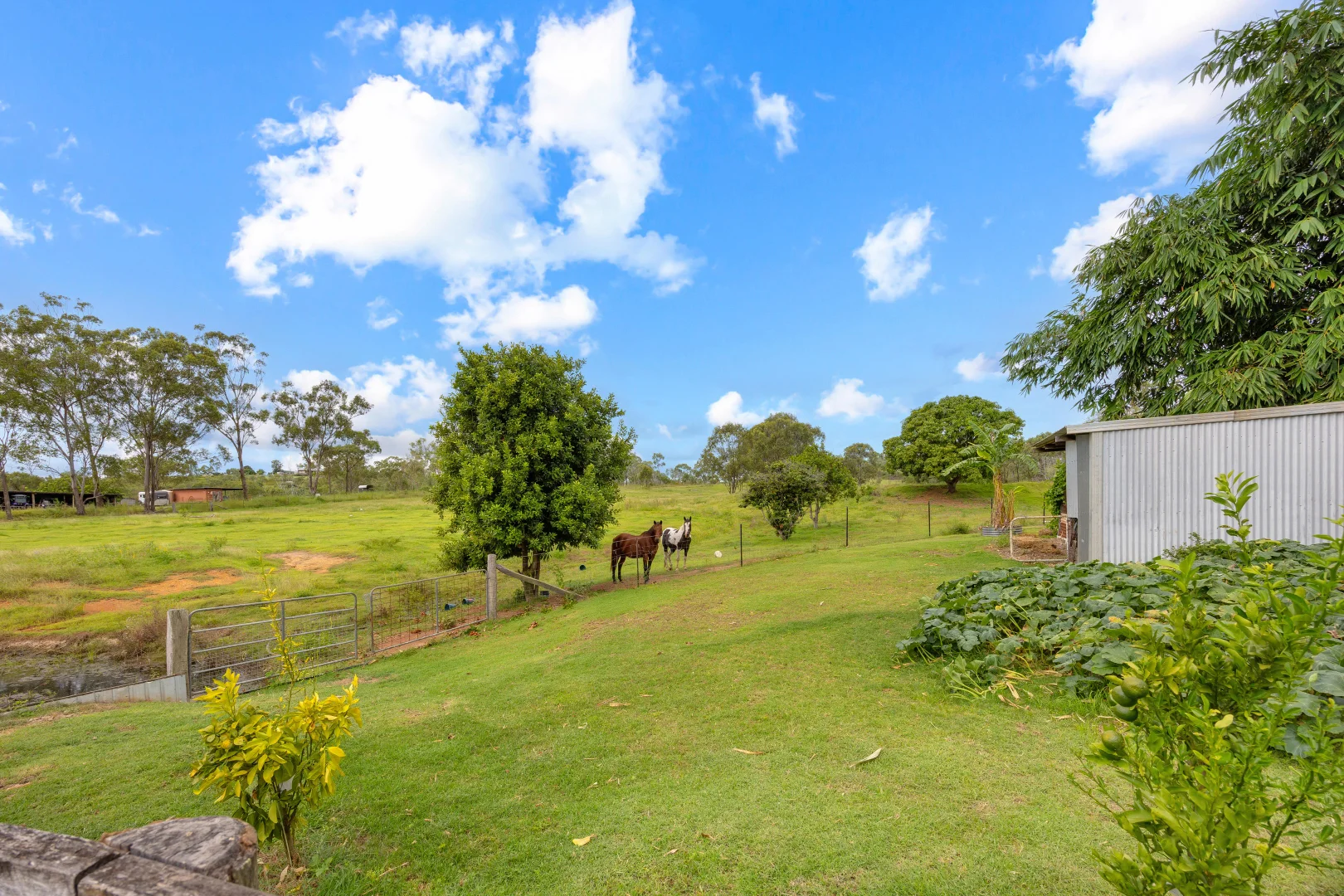 Additional image 25 of 47 Mount Larcom Bracewell Road, Mount Larcom QLD 4695