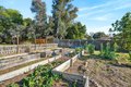 Additional image 24 of 105 Hooker Ave, Sonoma, CA, 95476