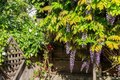 Additional image 51 of 631 San Bruno Ave, San Francisco, CA, 94107