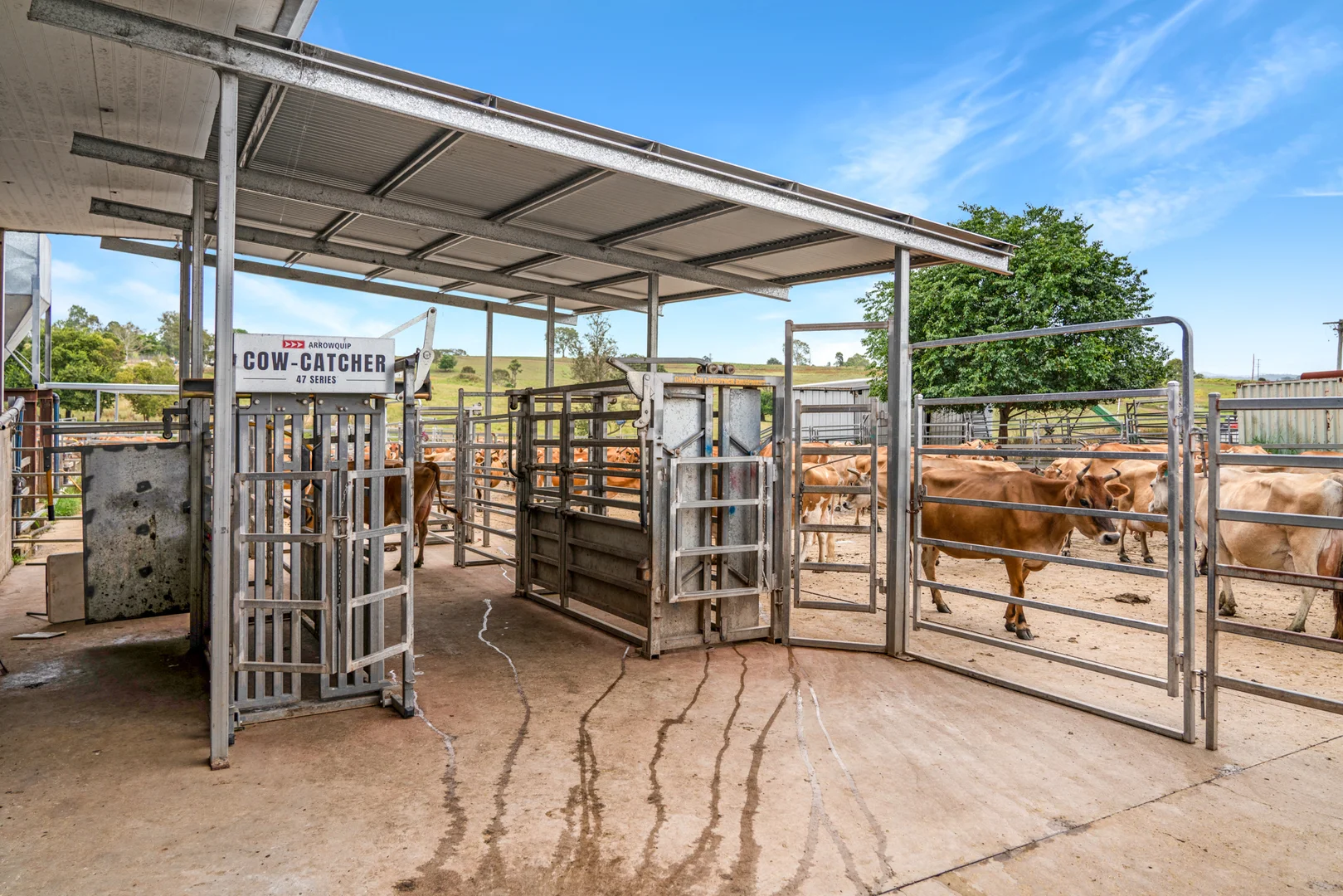 143 Ashton Road, Gilldora QLD 4570 photo 5