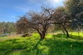 Additional image 44 of 2454 Oro Quincy Hwy, Oroville, CA, 95966
