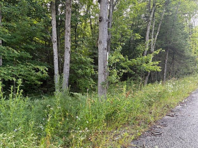 Additional image 6 of 47 Summer Leigh Trail, Huntsville, ON, P0B 1M0