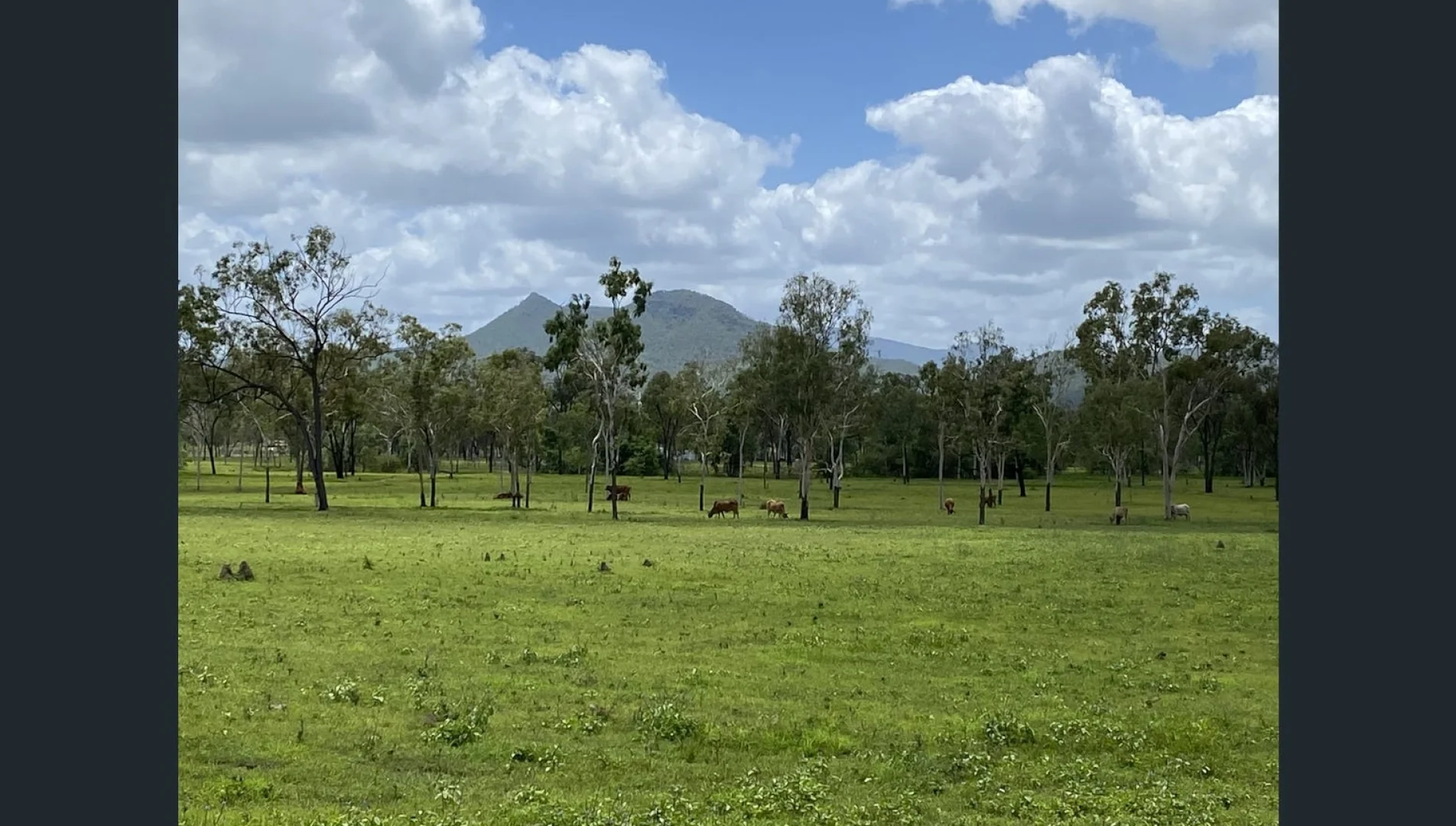Additional image 7 of 69 Squatters Road, Brookhill QLD 4816
