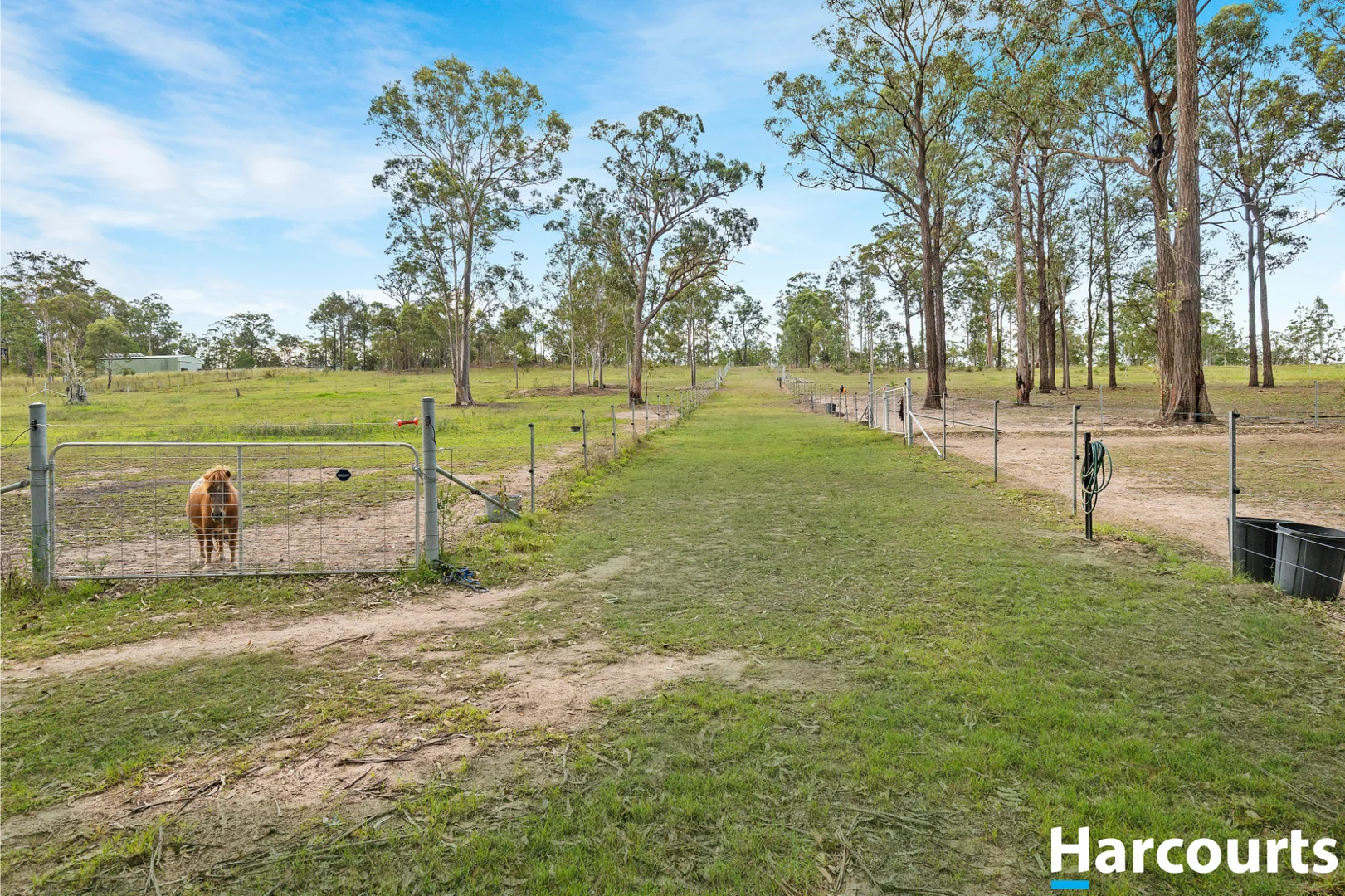Additional image 29 of 52 Forest Glen Road, Limeburners Creek NSW 2324
