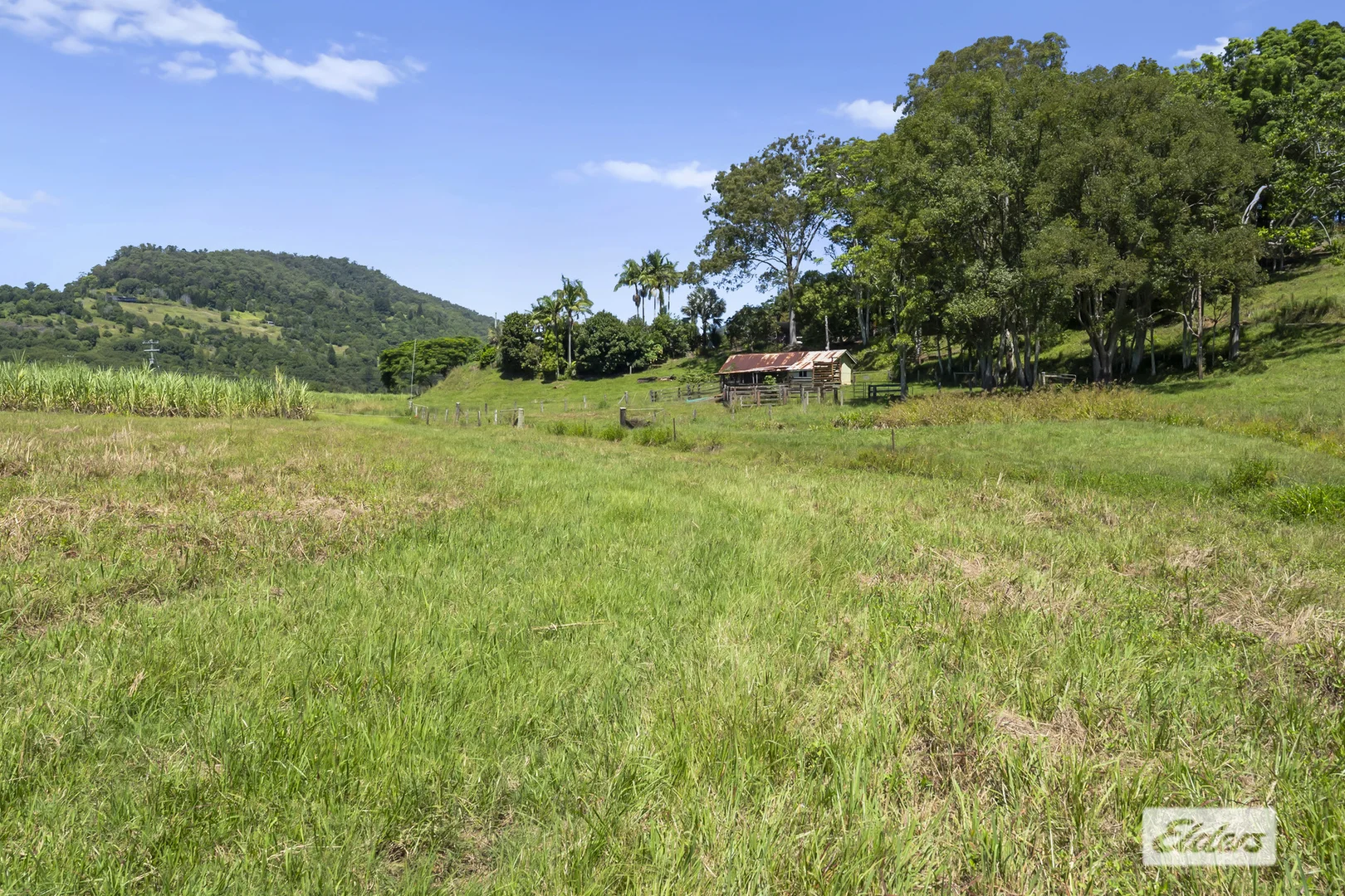 Additional image 40 of 225 Tyalgum Road, Eungella NSW 2484