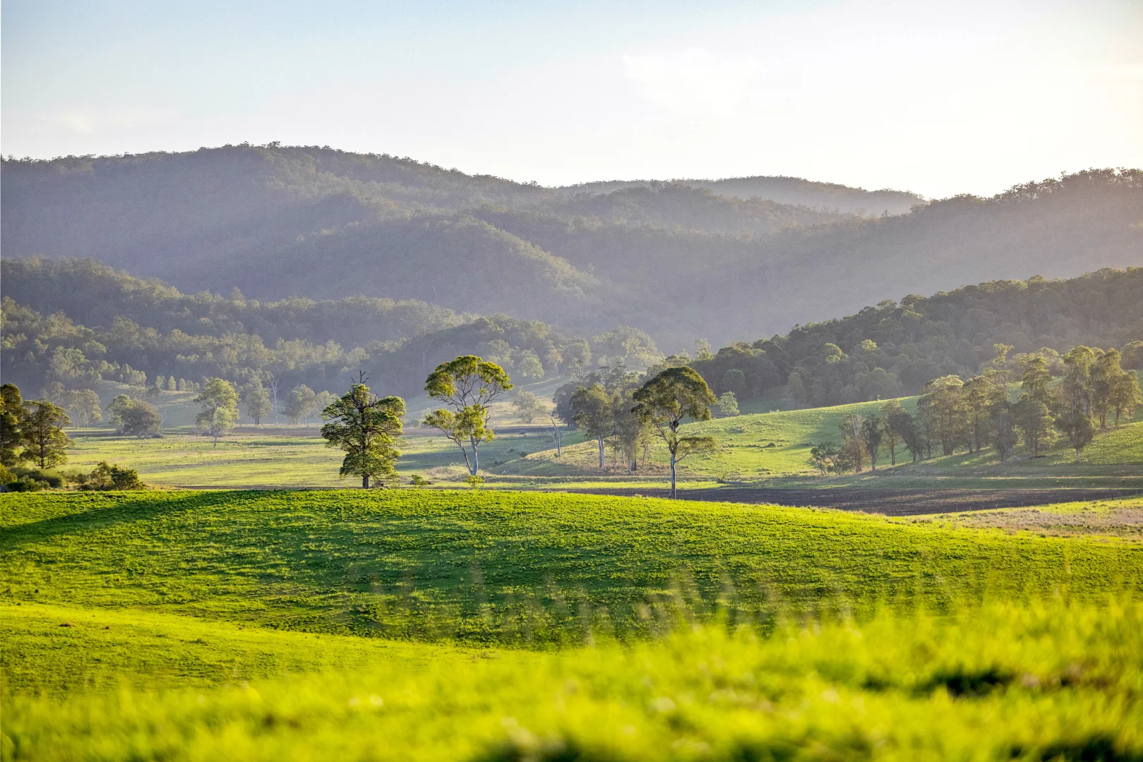 Additional image 7 of 1890 Maleny - Kenilworth Road, Conondale QLD 4552