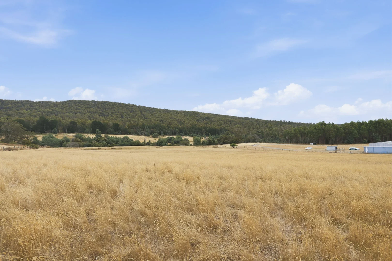 Additional image 15 of 3615 West Tamar Highway, Sidmouth TAS 7270
