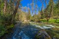 Additional image 2 of 8916 Reading Creek Rd, Douglas City, CA, 96024