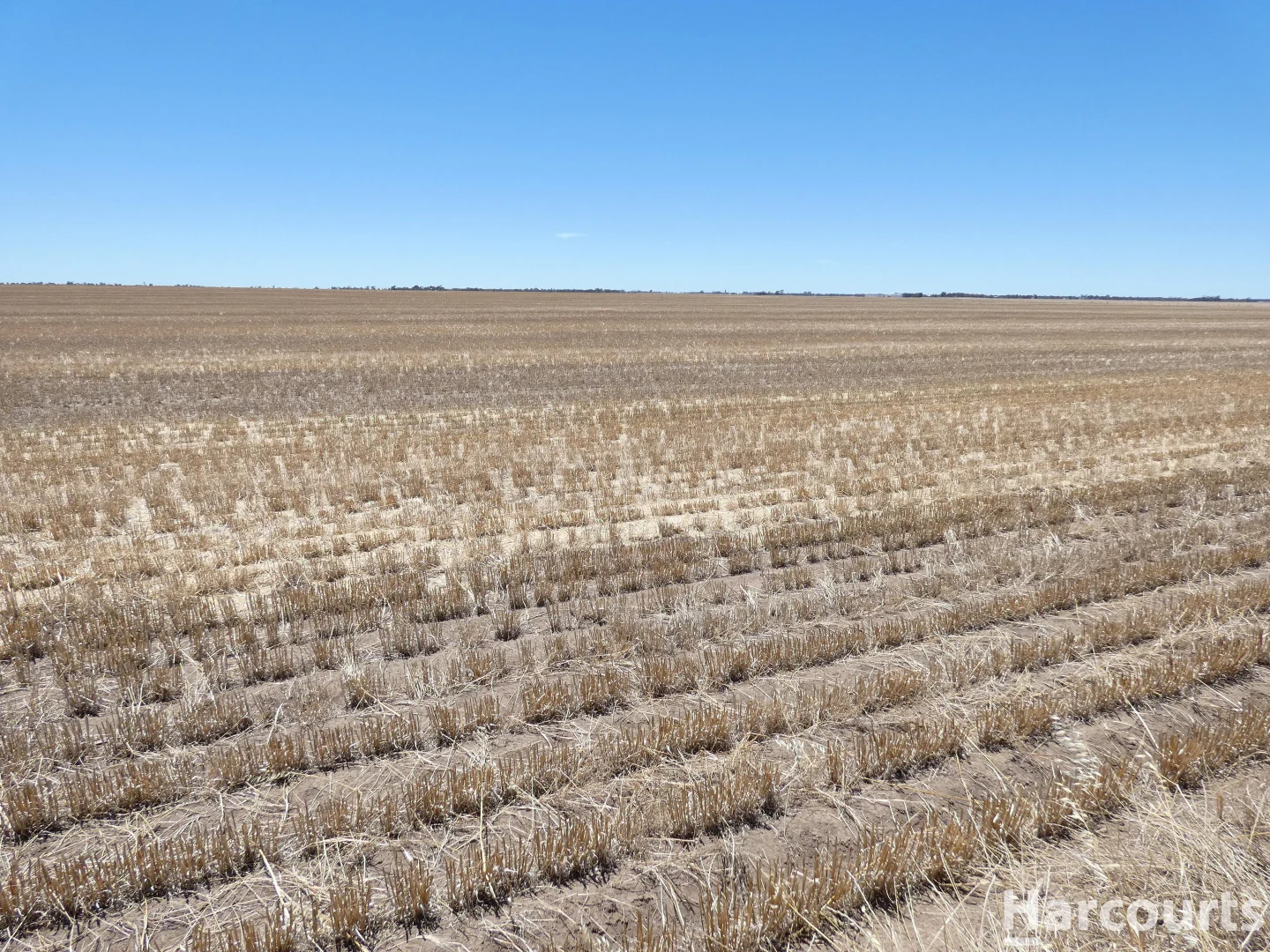 Additional image 6 of . Degenhardts Road, Murtoa VIC 3390