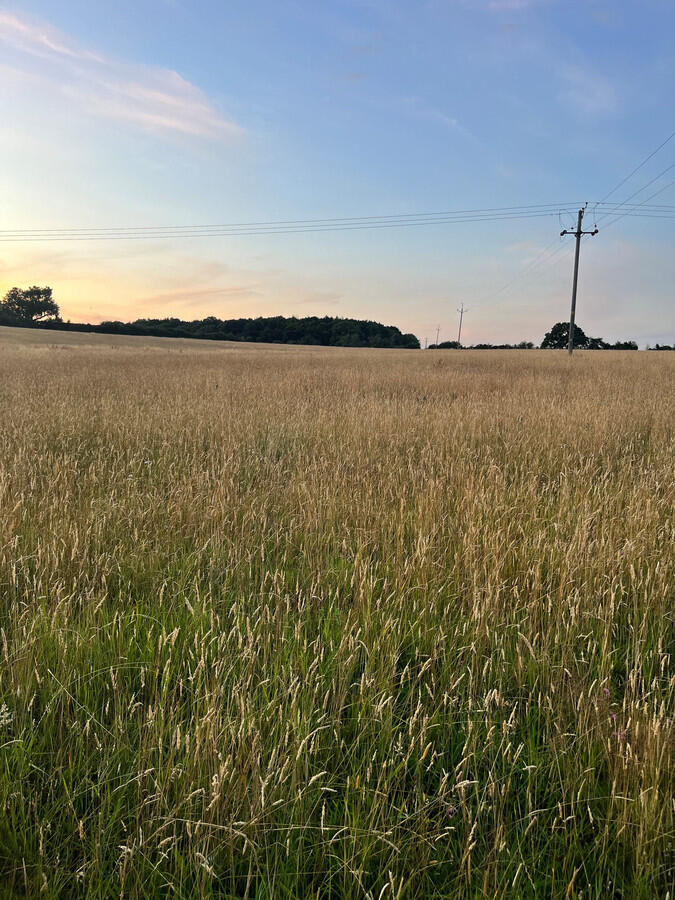 Valley Lane, Hertfordshire, AL3 8