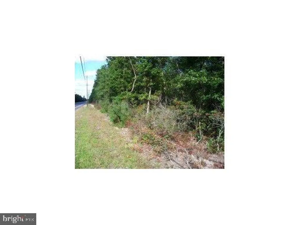 Route 539 E/S, Manahawkin, NJ 08050