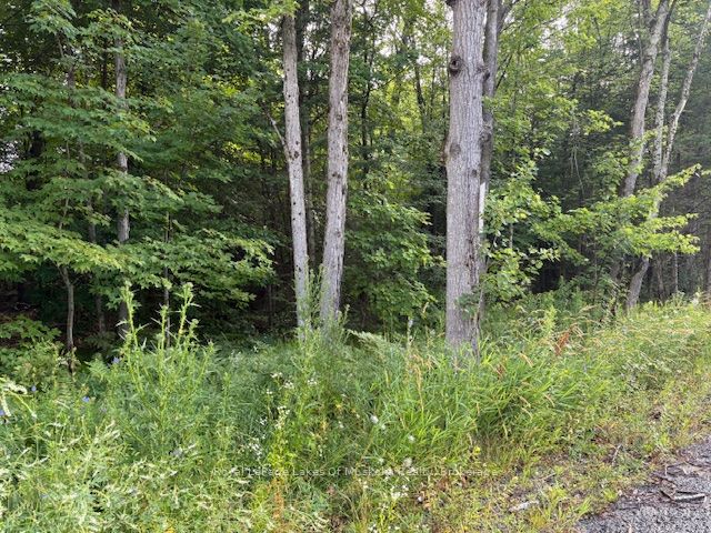 Additional image 5 of 47 Summer Leigh Trail, Huntsville, ON, P0B 1M0