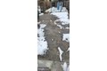 Additional image 81 of 3202 Presbury St, Baltimore, MD, 21216