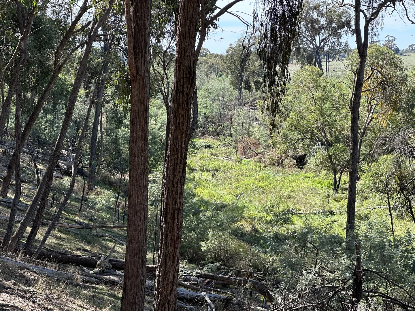 Additional image 18 of 880 Lima East Road, Lima East VIC 3673