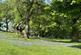 Additional image 5 of Llanfrynach, Brecon, Powys.