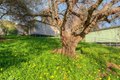 Additional image 42 of 2454 Oro Quincy Hwy, Oroville, CA, 95966