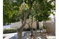 Additional image 7 of 882 Village Sq N, Palm Springs, CA, 92262