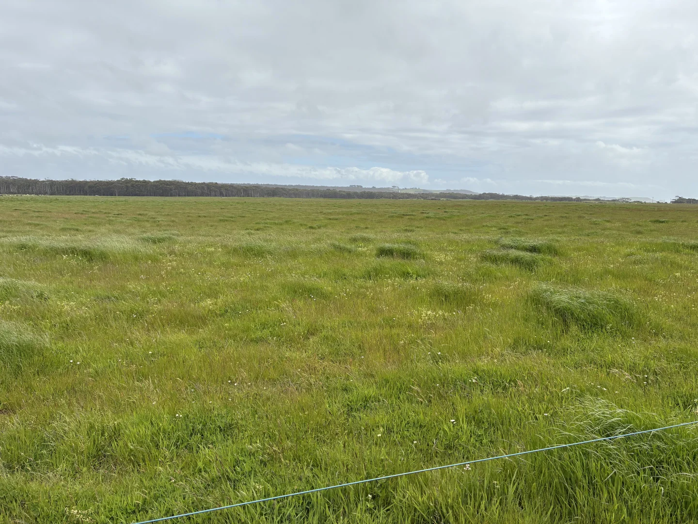 . Harcus River Road, Marrawah TAS 7330 photo 3