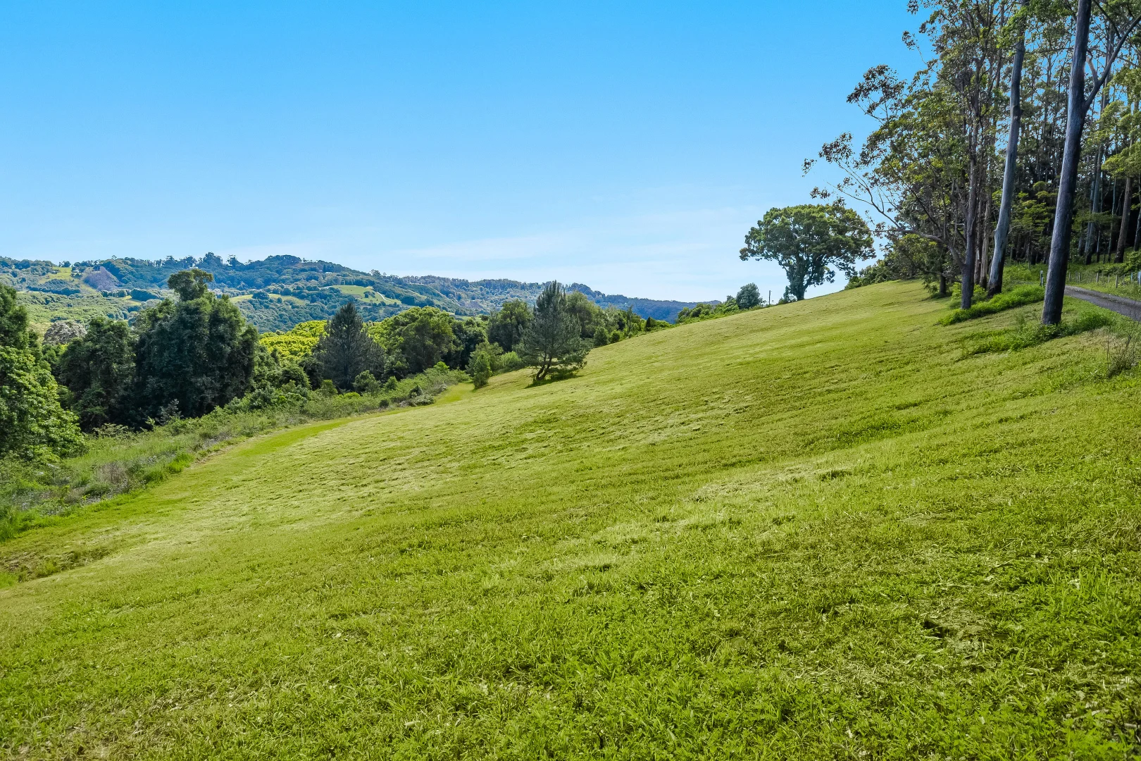 Additional image 4 of 510 Goonengerry Road, Montecollum NSW 2482