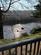 Lowther holiday park, Penrith