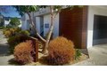 Additional image 2 of 849 N Van Ness Ave, Santa Ana, CA, 92701