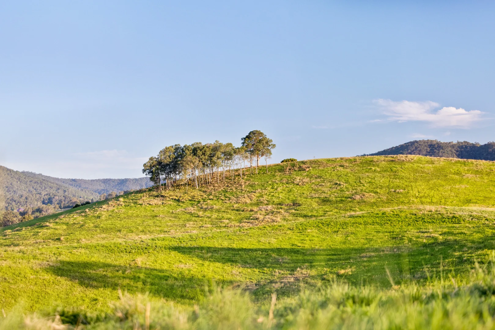 Additional image 9 of 1890 Maleny - Kenilworth Road, Conondale QLD 4552