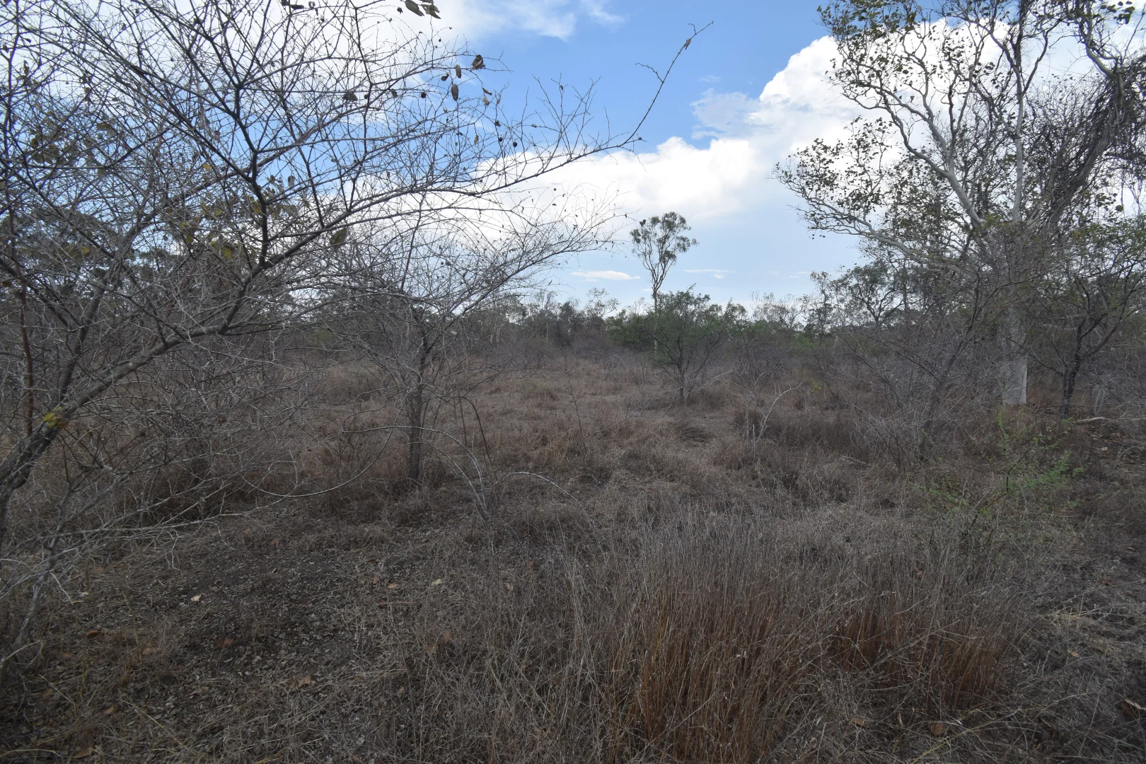 Additional image 7 of 8 Coventry Road, Guthalungra QLD 4805