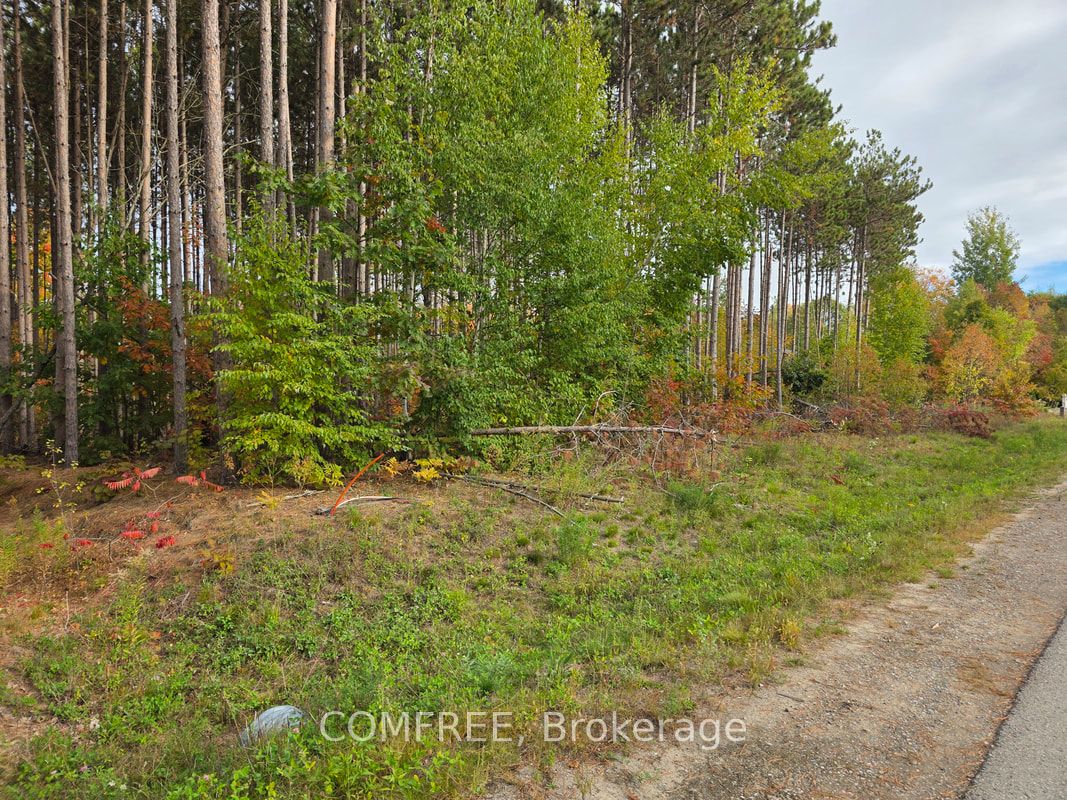 Additional image 3 of Lot 19-75 Windermere Circle, Tay, ON, L4R 0C3