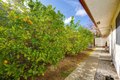 Additional image 29 of 26500 Rim Rd, Hemet, CA, 92544
