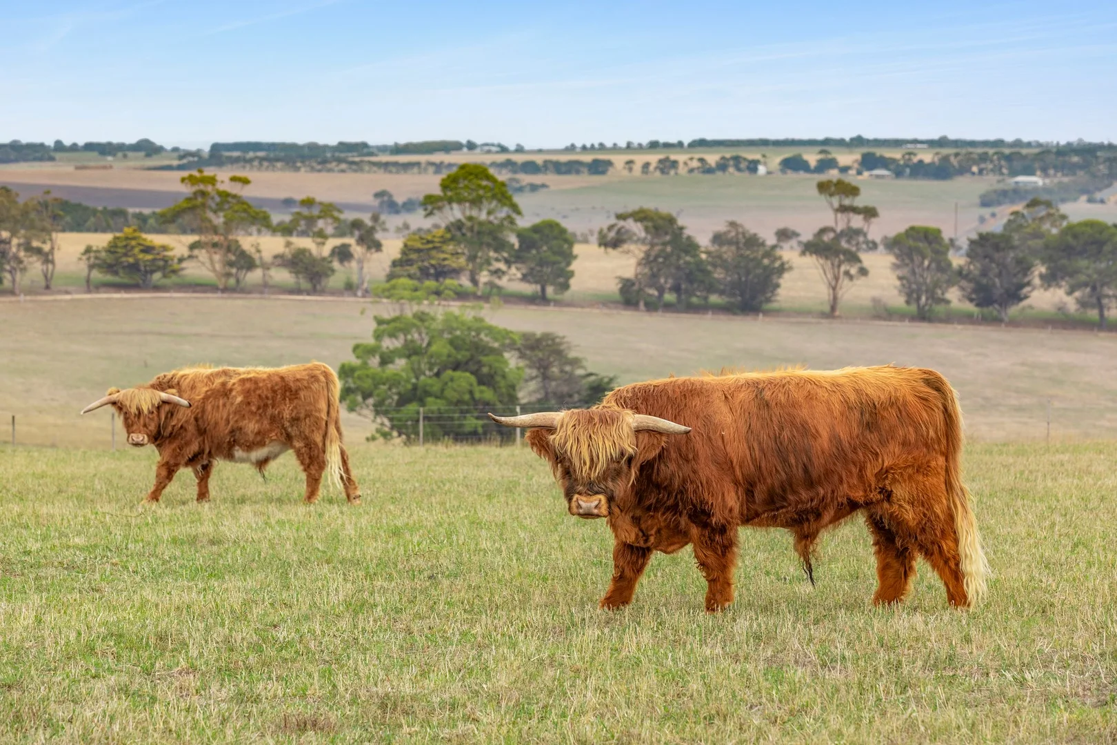 Additional image 32 of 80 Devon Road, Barrabool VIC 3221