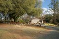 Additional image 26 of 10988 Pleasant Valley Rd, Penn Valley, CA, 95946