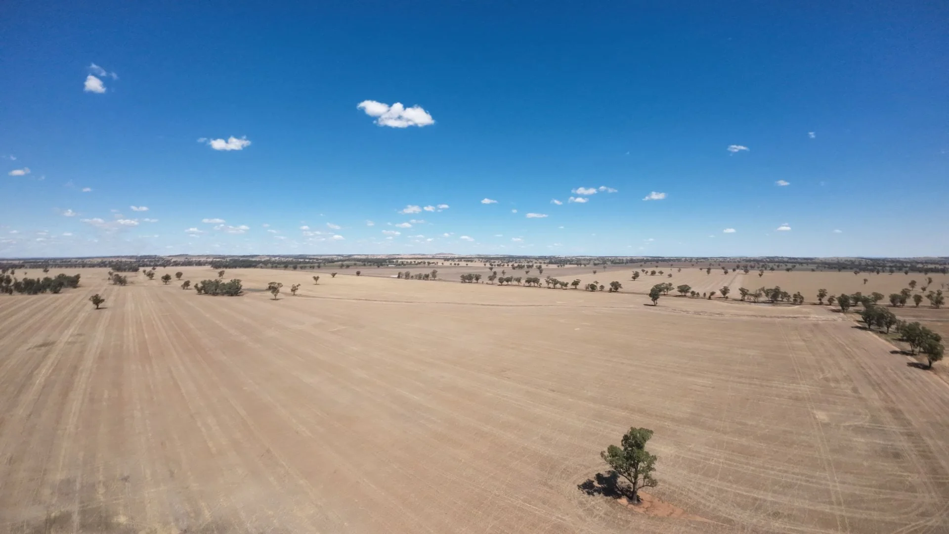 Additional image 7 of 159 Noakes Road, Bribbaree NSW 2594