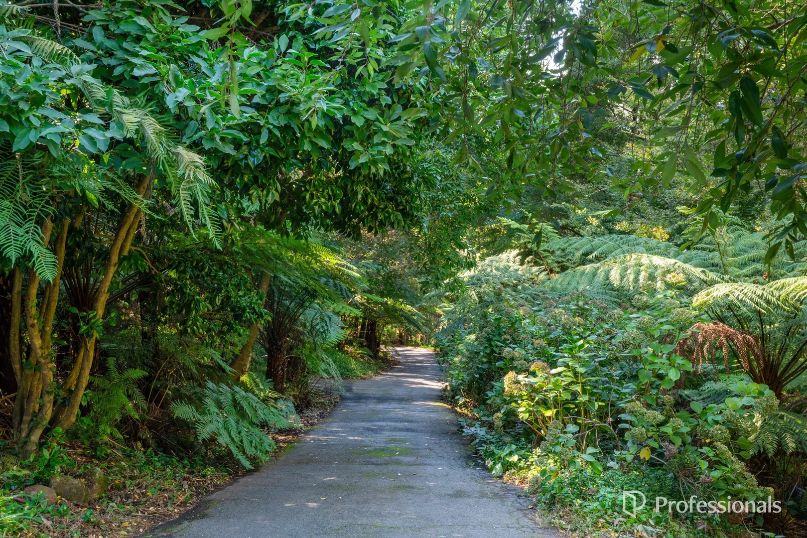 Additional image 27 of 67 Donna Buang Road, Warburton VIC 3799