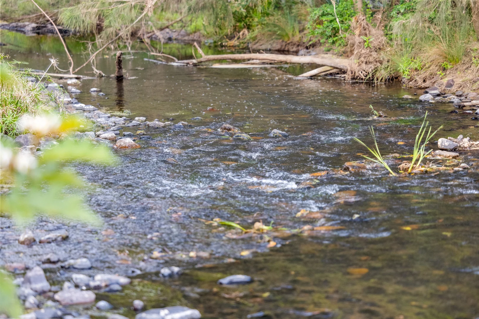 Additional image 30 of 1890 Maleny - Kenilworth Road, Conondale QLD 4552
