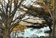 Additional image 14 of Gurnick Road, Newlyn, Penzance, Cornwall, TR18