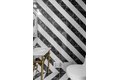 15 Dewey Pl, Brooklyn, NY, 11233 photo 5