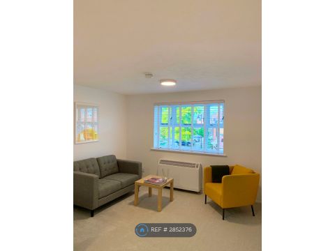 Molyneux Drive, London SW17, Studio to rent