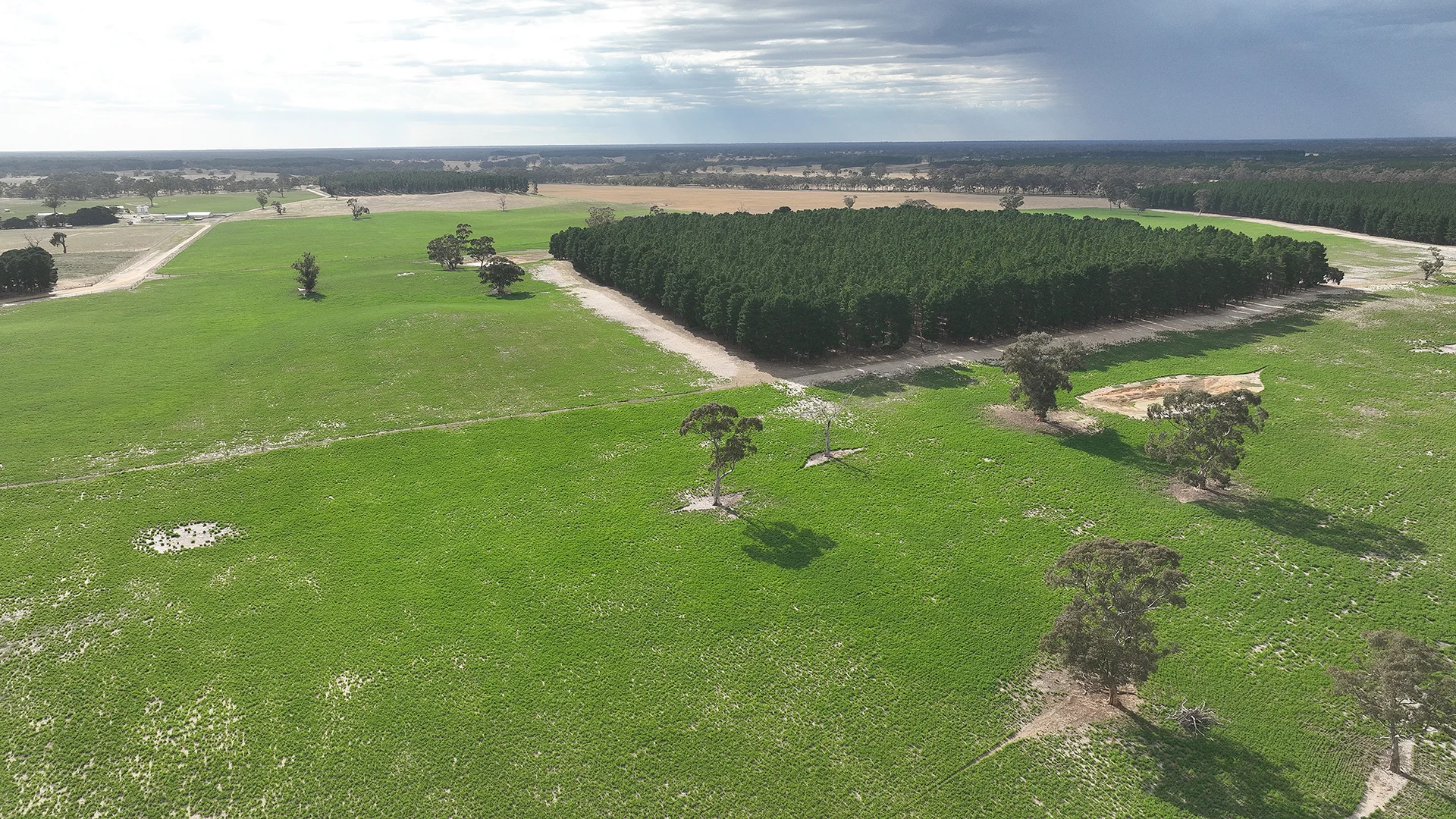 Additional image 47 of 2885 Frances Road, Bordertown SA 5268