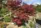 Additional image 43 of Ravendale, Grassgarth Lane, Ings, Kendal, LA8 9QF