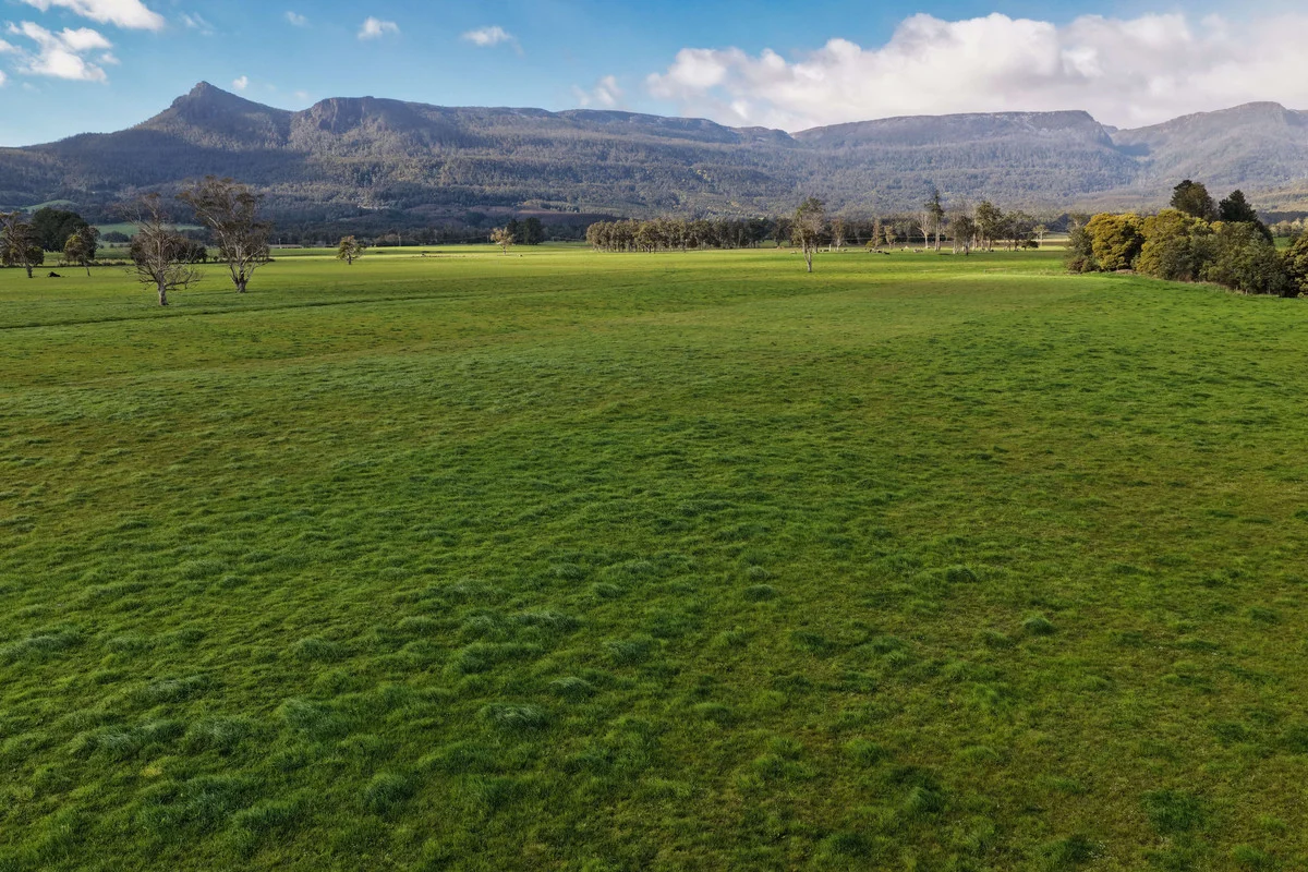 Additional image 4 of 1037 & 1044 Dairy Plains Road, Western Creek TAS 7304