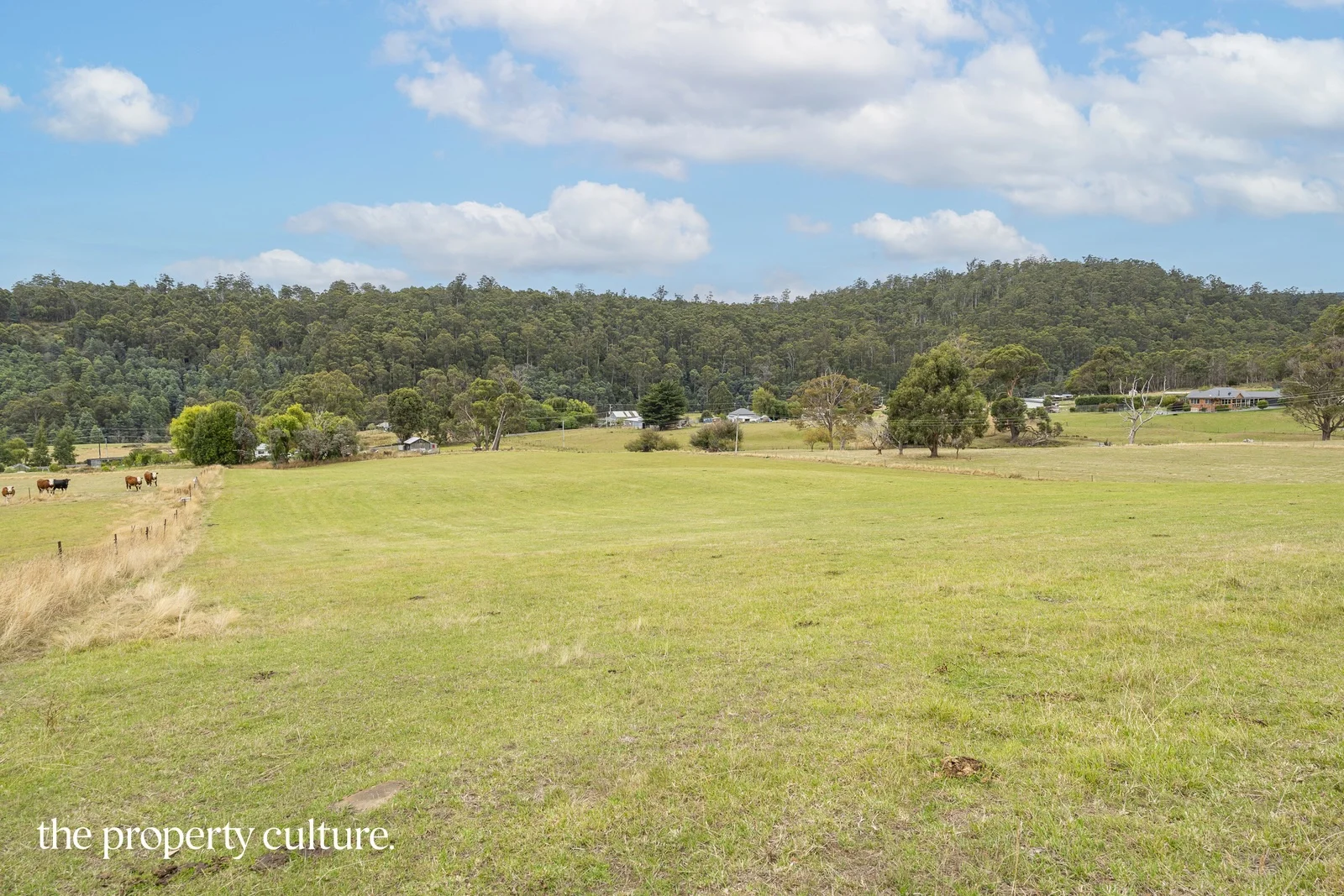 Additional image 9 of 989 Woodbridge Hill Road, Gardners Bay TAS 7112