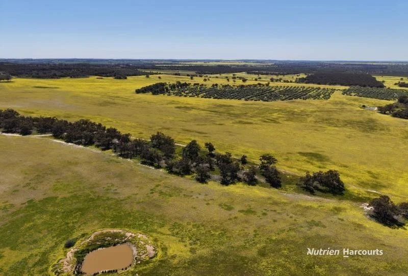 184 Ewert Road, Morbinning WA 6304 photo 2